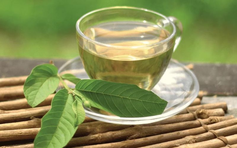 Tác Dụng Của Trà Lá Ổi 