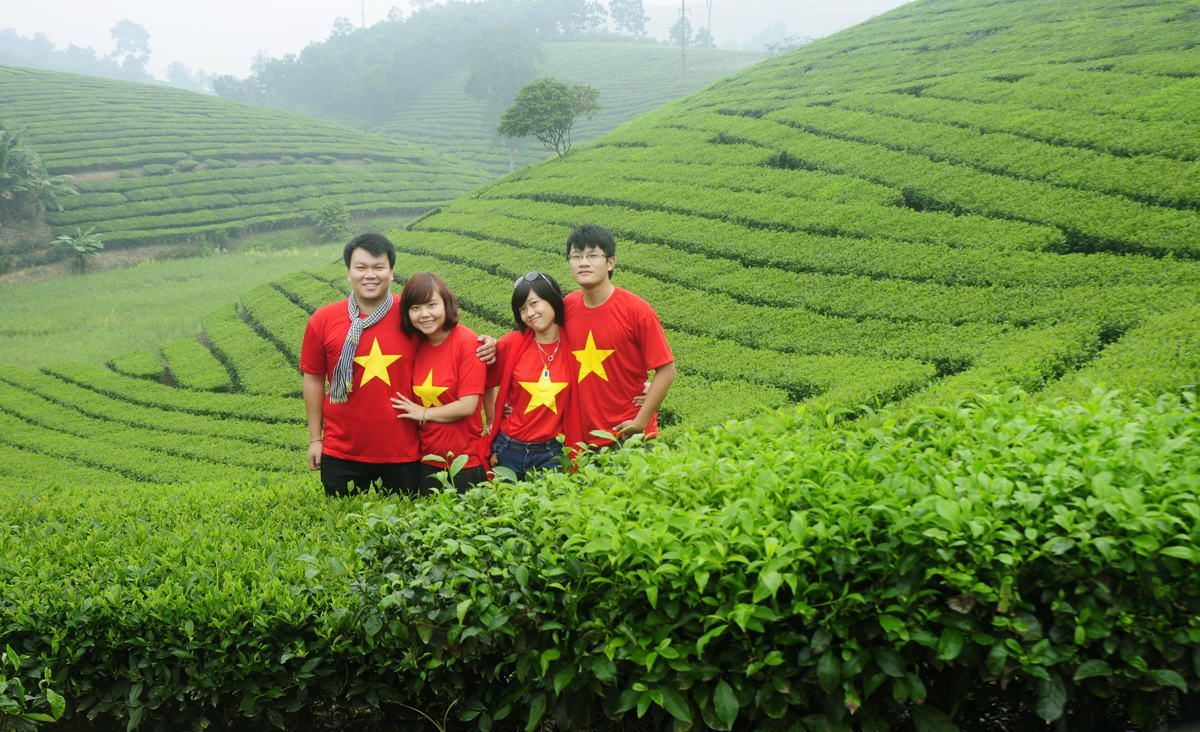 đồi chè tân cương thái nguyên