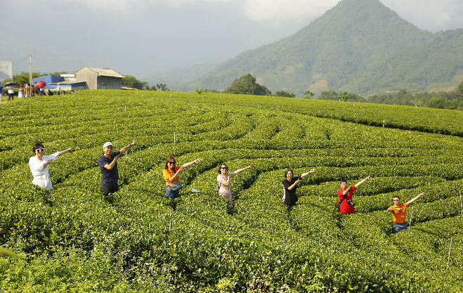 đồi chè tân cương thái nguyên