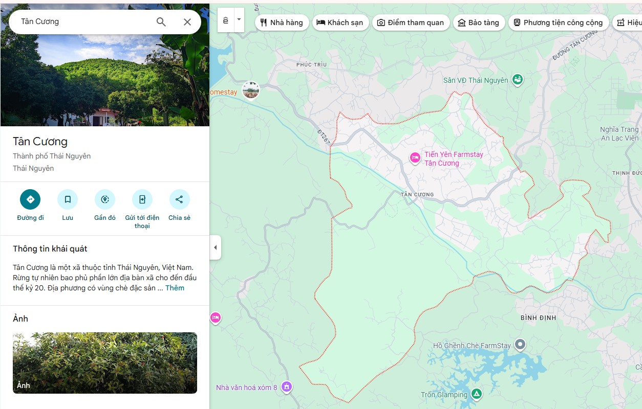 tân cương thái nguyên